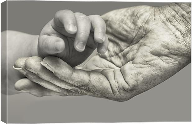 A Helping Hand Canvas Print by Nigel Jones