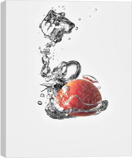 Tomato Splash Canvas Print by Nigel Jones