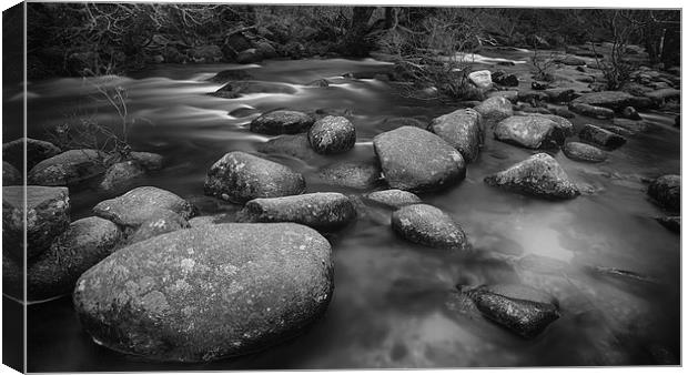 River Dart at Badgers Holt Canvas Print by Nigel Jones