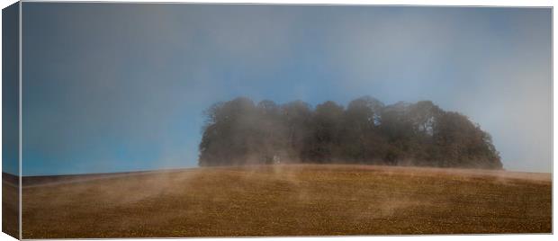  Trees In The Mist Canvas Print by Nigel Jones