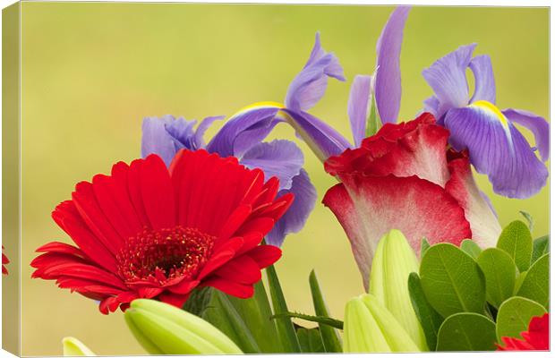 Cultivated cut flowers Canvas Print by Nigel Atkinson
