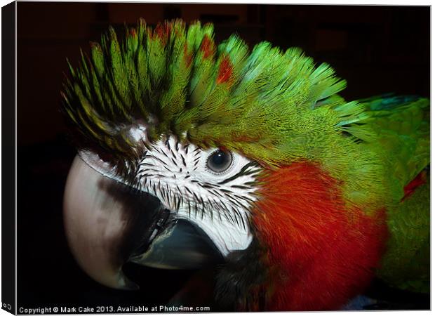 Fluffy Jubilee macaw Canvas Print by Mark Cake