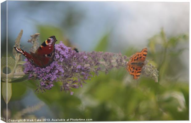 Butterfly bokeh Canvas Print by Mark Cake