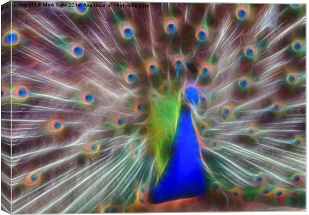  Peacock display Canvas Print by Mark Cake