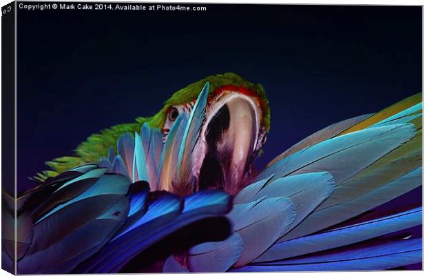  Harlequin macaw feathers Canvas Print by Mark Cake