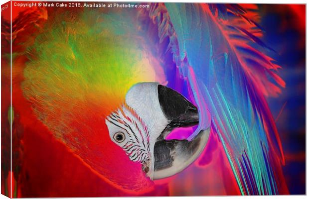  Macaw art Canvas Print by Mark Cake