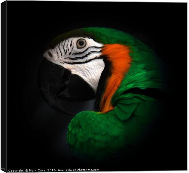 Green and Gold macaw portrait Canvas Print by Mark Cake