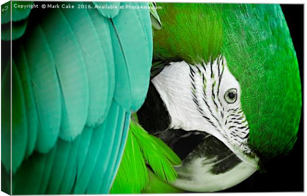 Green macaw Canvas Print by Mark Cake