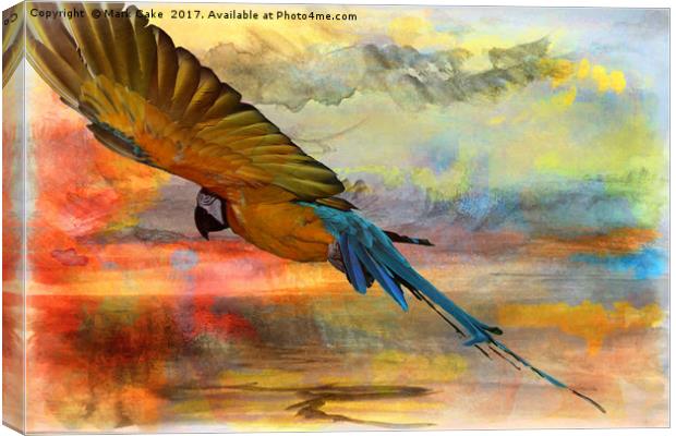 Gliding the tropics Canvas Print by Mark Cake