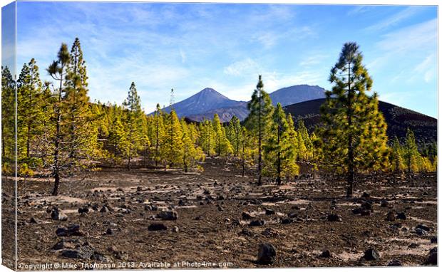 Mt. Tiede Canvas Print by Michael Thompson