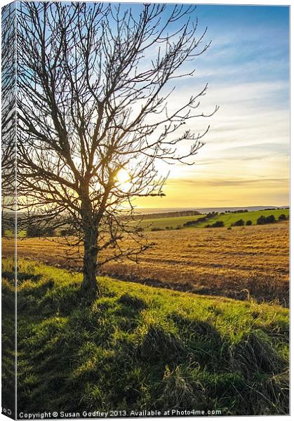 Sunset View From Kithurst Hill, Sussex Canvas Print by Susan Godfrey