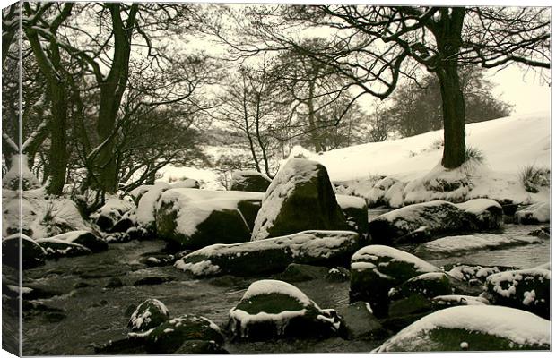 Frozen River Canvas Print by carl wood
