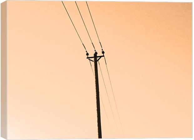 telephone line Canvas Print by Seth jones