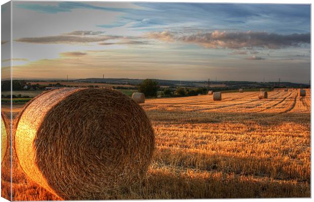 Haybales at Dusk Canvas Print by Stuart Gennery