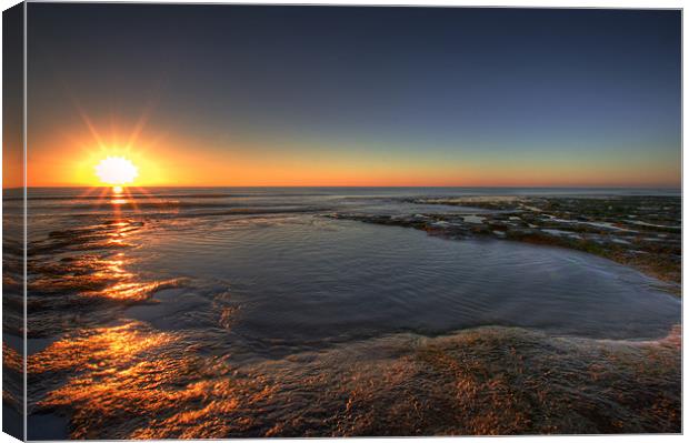 Sunlit Rock Pool Canvas Print by Stuart Gennery