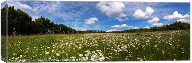 Flower Meadow Canvas Print by Stuart Gennery