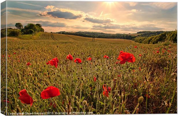 Poppies Canvas Print by Stuart Gennery