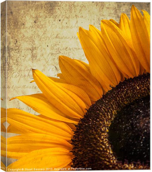 Textured Sunflower Canvas Print by Stuart Gennery