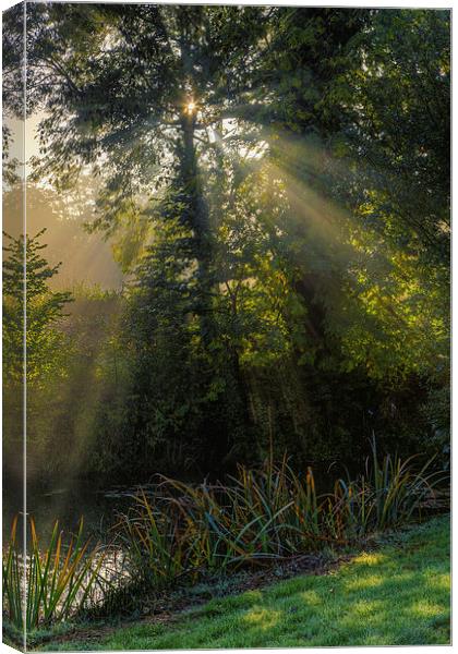 Early Morn Canvas Print by Stuart Gennery