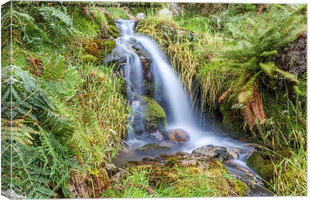  Waterfall Canvas Print by Stuart Gennery