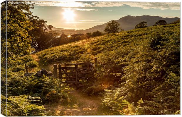  Walking down to Crummock Water as the sun fades. Canvas Print by Stuart Gennery