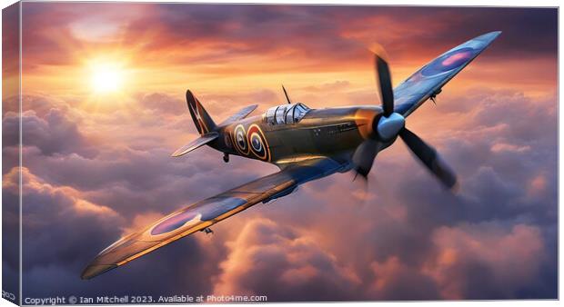 Supermarine Spitfire Canvas Print by Ian Mitchell
