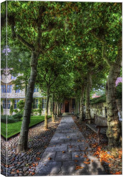 Garden Path Canvas Print by Ian Mitchell