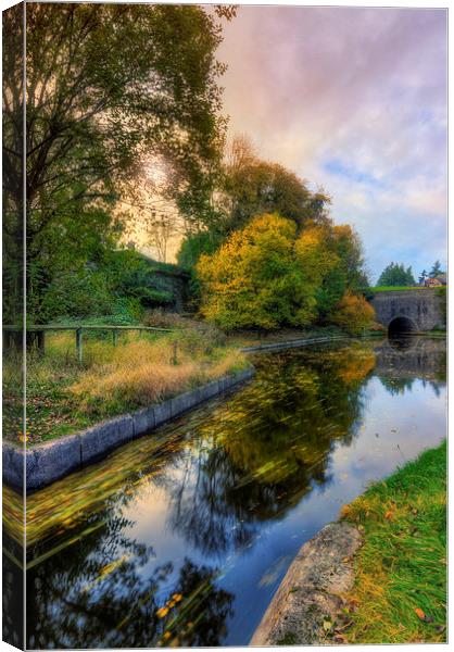 Canal Drifting Leaves Canvas Print by Ian Mitchell