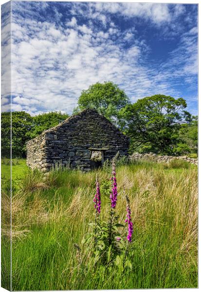 Countryside Ruin  Canvas Print by Ian Mitchell