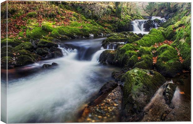 A Stream of Snowdon  Canvas Print by Ian Mitchell