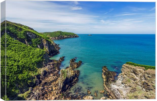 Anglesey Coast  Canvas Print by Ian Mitchell