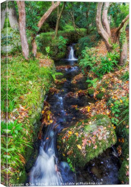 Autumn Forest Stream Canvas Print by Ian Mitchell