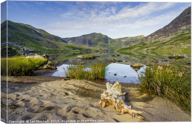 Llyn Ogwen Canvas Print by Ian Mitchell