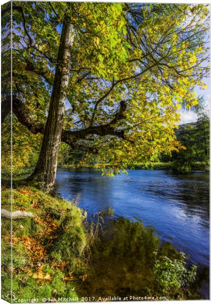 Autumn By The River Canvas Print by Ian Mitchell