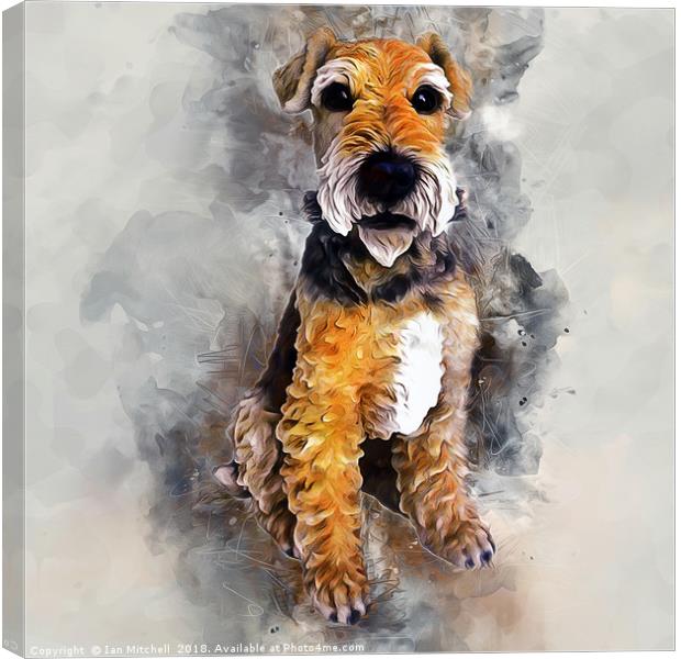 Patterdale Terrier Canvas Print by Ian Mitchell
