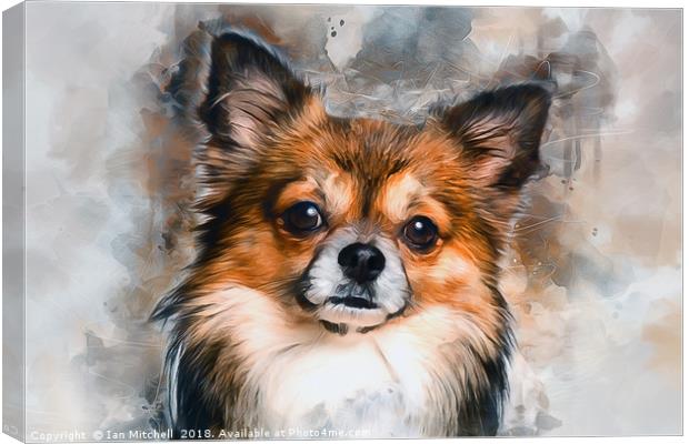 Chihuahua Canvas Print by Ian Mitchell