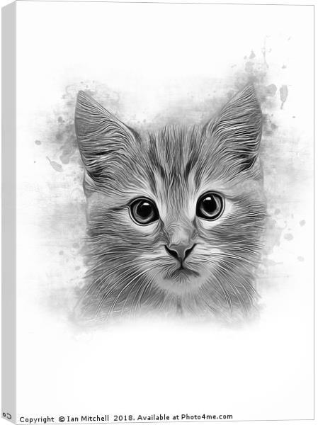 Cat Portrait Canvas Print by Ian Mitchell