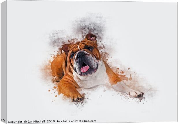 Bulldog Art Canvas Print by Ian Mitchell