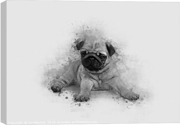 Pug Art Canvas Print by Ian Mitchell