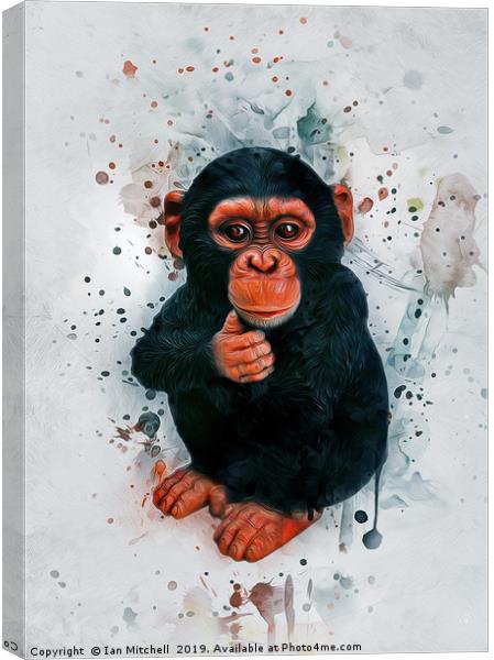 Baby Chimpanzee Art Canvas Print by Ian Mitchell