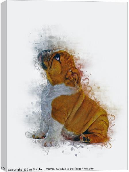 Bulldog Puppy Art Canvas Print by Ian Mitchell