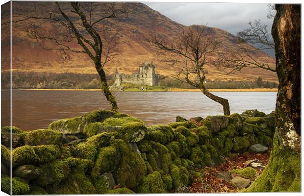 Ruined Castle, Mossy Wall Canvas Print by Matthew Train