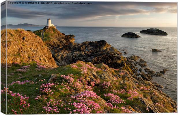 Wildflower Lighthouse Canvas Print by Matthew Train