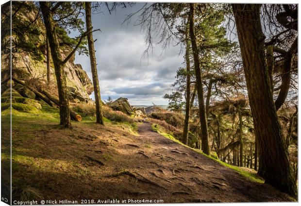 Out of the woods, The Roaches, Peak District, UK Canvas Print by Nick Hillman
