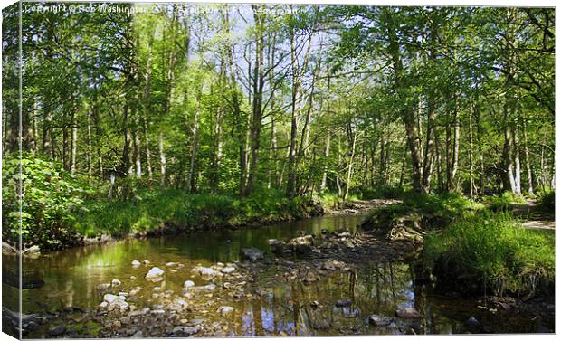 River scene Hamsterley Forest Canvas Print by Rob Washington