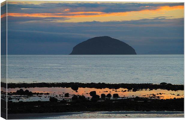 Ailsa Craig Scotland Canvas Print by Rob Washington