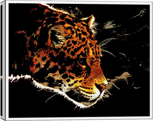  Jaguar Canvas Print by dave mcnaught
