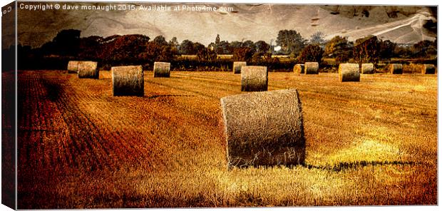  Glowing Hay Rolls Canvas Print by dave mcnaught