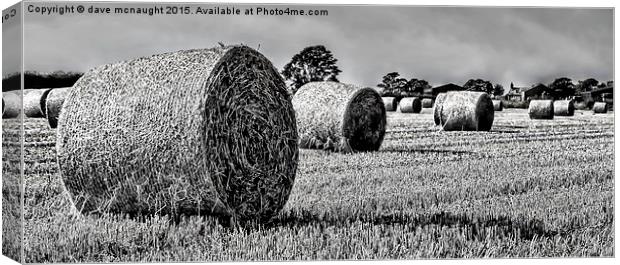  Black & White Hay Bales Canvas Print by dave mcnaught
