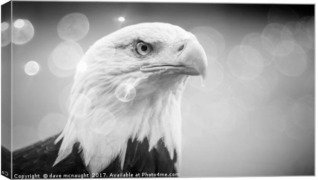 Black and White Eagle  Canvas Print by dave mcnaught